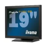 Monitorius Iiyama 48cm (19") PL T1931SR-B1, vaizdas 3