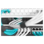 Serverinės spintos priedas Digitus DN-97660, vaizdas 5