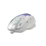 Baracuda ANGLERFISH-W BGM-062, White