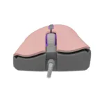 Baracuda LOBSTER BGM-084  Pink