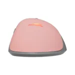 Baracuda LOBSTER BGM-084  Pink