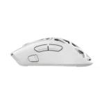 White Shark MORIEN WGM-5025  White