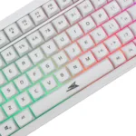 Baracuda ORCA-W BGC-012, White Combo
