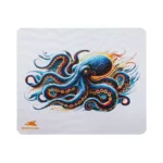 Baracuda BGMP-051 Octopus 300×250
