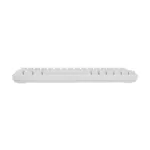 White Shark RONIN GK-2201  White-US
