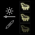 Manta SNL103WH Style Neon Lights HORSE  White