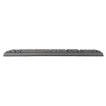 Baracuda BGK-02114 Starfish Black US