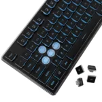 White Shark GK-003141 Tachi Black US