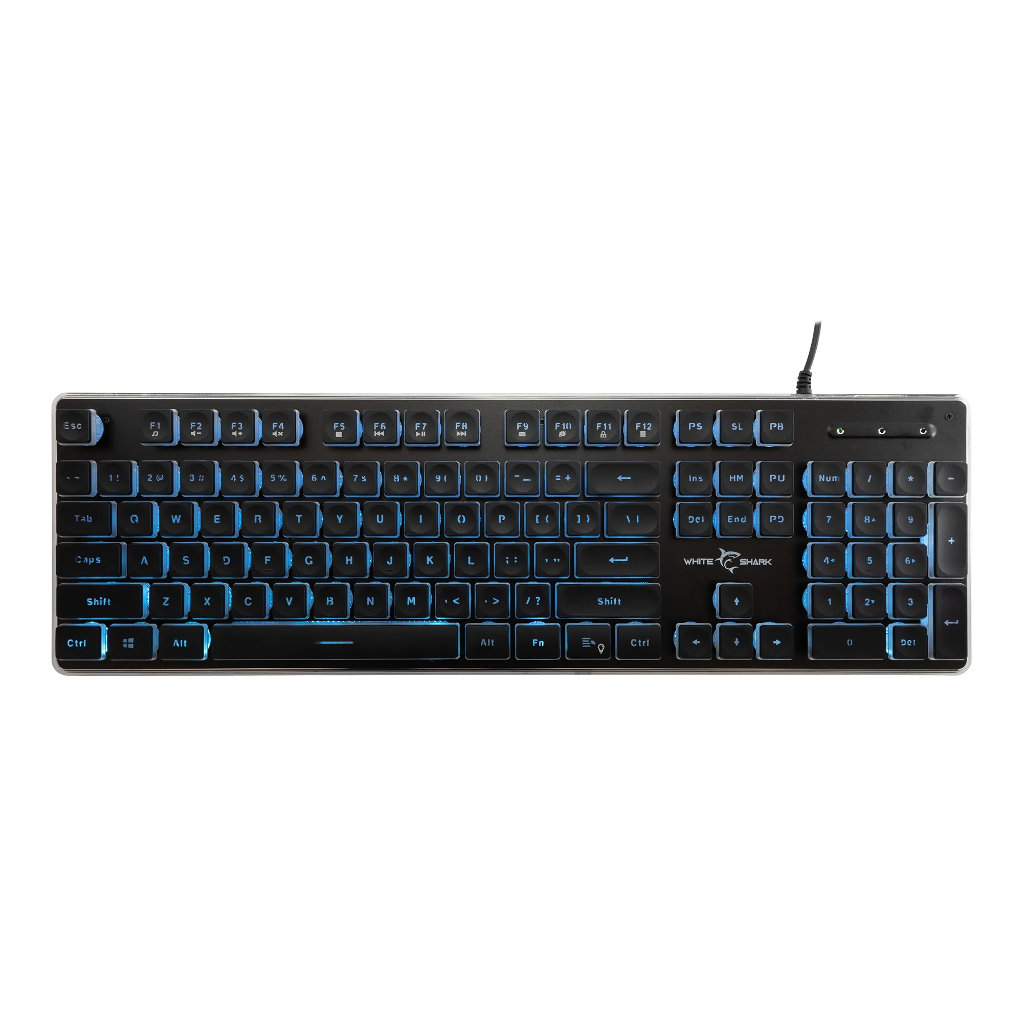 mobilux-tachi-b-us White Shark GK-003141 Tachi Black US