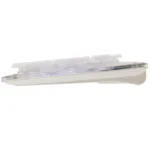 White Shark GK-003241 Tachi White US