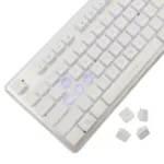 White Shark GK-003241 Tachi White US