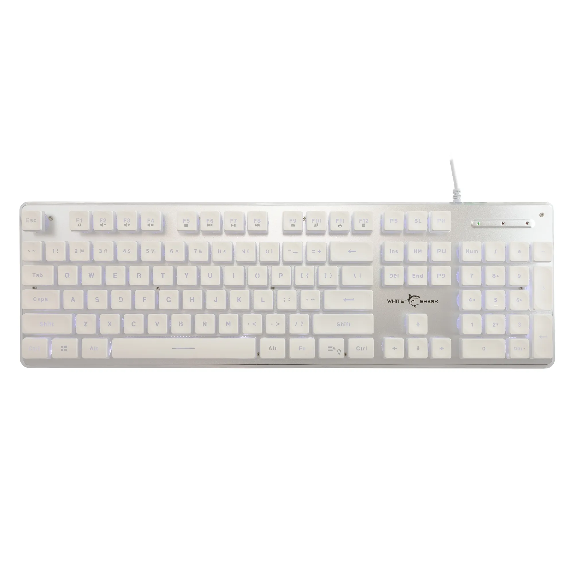 mobilux-tachi-w-us White Shark GK-003241 Tachi White US