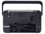 Tracer 47775 GTX100 Radio FM