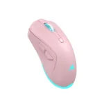 Baracuda TURTLE BGM-124 Pink
