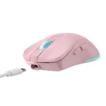 Baracuda TURTLE BGM-124 Pink