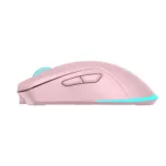 Baracuda TURTLE BGM-124 Pink