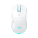 Baracuda TURTLE-W BGM-122, White