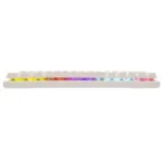 White Shark GK-002221V2 Wakizashi 2 White US-Blue.SW